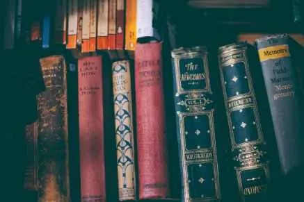 the last bow book